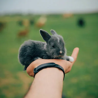 免费推荐节点 - 1月27日21.6M/S|免费V2ray节点/Clash节点/SSR节点/Shadowrocket节点/Singbox节点/Trojan节点节点推荐，VPN机场购买推荐